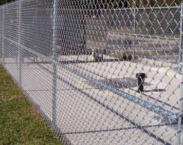 Is Wire Netting in Jaipur The Key To Affordable Security And Design?